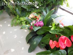 [P49] Parcul "Drumul Taberei" - &Icirc;n seră. » foto by iulianic
 - 
<span class="allrVoted glyphicon glyphicon-heart hidden" id="av1311461"></span>
<a class="m-l-10 hidden" id="sv1311461" onclick="voting_Foto_DelVot(,1311461,11447)" role="button">șterge vot <span class="glyphicon glyphicon-remove"></span></a>
<a id="v91311461" class=" c-red"  onclick="voting_Foto_SetVot(1311461)" role="button"><span class="glyphicon glyphicon-heart-empty"></span> <b>LIKE</b> = Votează poza</a> <img class="hidden"  id="f1311461W9" src="/imagini/loader.gif" border="0" /><span class="AjErrMes hidden" id="e1311461ErM"></span>