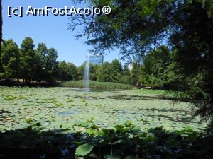 [P12] București - Parcul Circului Metropolitan. F&acirc;nt&acirc;na arteziană. » foto by iulianic
 - 
<span class="allrVoted glyphicon glyphicon-heart hidden" id="av1316569"></span>
<a class="m-l-10 hidden" id="sv1316569" onclick="voting_Foto_DelVot(,1316569,11447)" role="button">șterge vot <span class="glyphicon glyphicon-remove"></span></a>
<a id="v91316569" class=" c-red"  onclick="voting_Foto_SetVot(1316569)" role="button"><span class="glyphicon glyphicon-heart-empty"></span> <b>LIKE</b> = Votează poza</a> <img class="hidden"  id="f1316569W9" src="/imagini/loader.gif" border="0" /><span class="AjErrMes hidden" id="e1316569ErM"></span>
