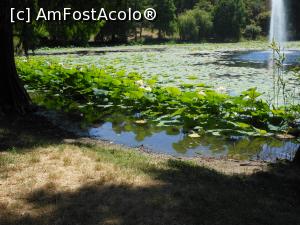 [P14] București - Parcul Circului Metropolitan. Lacul. » foto by iulianic
 - 
<span class="allrVoted glyphicon glyphicon-heart hidden" id="av1316571"></span>
<a class="m-l-10 hidden" id="sv1316571" onclick="voting_Foto_DelVot(,1316571,11447)" role="button">șterge vot <span class="glyphicon glyphicon-remove"></span></a>
<a id="v91316571" class=" c-red"  onclick="voting_Foto_SetVot(1316571)" role="button"><span class="glyphicon glyphicon-heart-empty"></span> <b>LIKE</b> = Votează poza</a> <img class="hidden"  id="f1316571W9" src="/imagini/loader.gif" border="0" /><span class="AjErrMes hidden" id="e1316571ErM"></span>