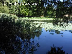 [P15] București - Parcul Circului Metropolitan. Lacul. » foto by iulianic
 - 
<span class="allrVoted glyphicon glyphicon-heart hidden" id="av1316572"></span>
<a class="m-l-10 hidden" id="sv1316572" onclick="voting_Foto_DelVot(,1316572,11447)" role="button">șterge vot <span class="glyphicon glyphicon-remove"></span></a>
<a id="v91316572" class=" c-red"  onclick="voting_Foto_SetVot(1316572)" role="button"><span class="glyphicon glyphicon-heart-empty"></span> <b>LIKE</b> = Votează poza</a> <img class="hidden"  id="f1316572W9" src="/imagini/loader.gif" border="0" /><span class="AjErrMes hidden" id="e1316572ErM"></span>