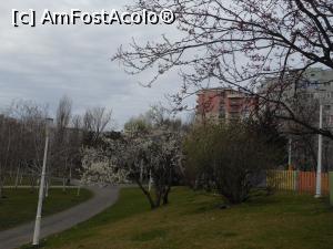 [P10] București - Parcul Florilor. Primii pomi înfloriți. » foto by iulianic
 - 
<span class="allrVoted glyphicon glyphicon-heart hidden" id="av1356994"></span>
<a class="m-l-10 hidden" id="sv1356994" onclick="voting_Foto_DelVot(,1356994,11447)" role="button">șterge vot <span class="glyphicon glyphicon-remove"></span></a>
<a id="v91356994" class=" c-red"  onclick="voting_Foto_SetVot(1356994)" role="button"><span class="glyphicon glyphicon-heart-empty"></span> <b>LIKE</b> = Votează poza</a> <img class="hidden"  id="f1356994W9" src="/imagini/loader.gif" border="0" /><span class="AjErrMes hidden" id="e1356994ErM"></span>