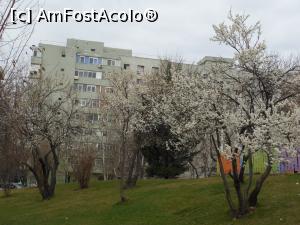 [P09] București - Parcul Florilor. A venit primăvara! » foto by iulianic
 - 
<span class="allrVoted glyphicon glyphicon-heart hidden" id="av1356993"></span>
<a class="m-l-10 hidden" id="sv1356993" onclick="voting_Foto_DelVot(,1356993,11447)" role="button">șterge vot <span class="glyphicon glyphicon-remove"></span></a>
<a id="v91356993" class=" c-red"  onclick="voting_Foto_SetVot(1356993)" role="button"><span class="glyphicon glyphicon-heart-empty"></span> <b>LIKE</b> = Votează poza</a> <img class="hidden"  id="f1356993W9" src="/imagini/loader.gif" border="0" /><span class="AjErrMes hidden" id="e1356993ErM"></span>