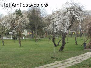 [P16] București - Parcul Morarilor. A venit primăvara! » foto by iulianic
 - 
<span class="allrVoted glyphicon glyphicon-heart hidden" id="av1358065"></span>
<a class="m-l-10 hidden" id="sv1358065" onclick="voting_Foto_DelVot(,1358065,11447)" role="button">șterge vot <span class="glyphicon glyphicon-remove"></span></a>
<a id="v91358065" class=" c-red"  onclick="voting_Foto_SetVot(1358065)" role="button"><span class="glyphicon glyphicon-heart-empty"></span> <b>LIKE</b> = Votează poza</a> <img class="hidden"  id="f1358065W9" src="/imagini/loader.gif" border="0" /><span class="AjErrMes hidden" id="e1358065ErM"></span>