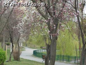 [P44] București - Parcul Morarilor. » foto by iulianic
 - 
<span class="allrVoted glyphicon glyphicon-heart hidden" id="av1358093"></span>
<a class="m-l-10 hidden" id="sv1358093" onclick="voting_Foto_DelVot(,1358093,11447)" role="button">șterge vot <span class="glyphicon glyphicon-remove"></span></a>
<a id="v91358093" class=" c-red"  onclick="voting_Foto_SetVot(1358093)" role="button"><span class="glyphicon glyphicon-heart-empty"></span> <b>LIKE</b> = Votează poza</a> <img class="hidden"  id="f1358093W9" src="/imagini/loader.gif" border="0" /><span class="AjErrMes hidden" id="e1358093ErM"></span>