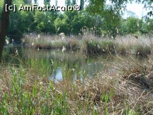 [P23] București - Parcul Sticlăriei. » foto by iulianic
 - 
<span class="allrVoted glyphicon glyphicon-heart hidden" id="av1362075"></span>
<a class="m-l-10 hidden" id="sv1362075" onclick="voting_Foto_DelVot(,1362075,11447)" role="button">șterge vot <span class="glyphicon glyphicon-remove"></span></a>
<a id="v91362075" class=" c-red"  onclick="voting_Foto_SetVot(1362075)" role="button"><span class="glyphicon glyphicon-heart-empty"></span> <b>LIKE</b> = Votează poza</a> <img class="hidden"  id="f1362075W9" src="/imagini/loader.gif" border="0" /><span class="AjErrMes hidden" id="e1362075ErM"></span>