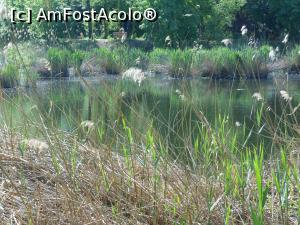 [P24] București - Parcul Sticlăriei. » foto by iulianic
 - 
<span class="allrVoted glyphicon glyphicon-heart hidden" id="av1362076"></span>
<a class="m-l-10 hidden" id="sv1362076" onclick="voting_Foto_DelVot(,1362076,11447)" role="button">șterge vot <span class="glyphicon glyphicon-remove"></span></a>
<a id="v91362076" class=" c-red"  onclick="voting_Foto_SetVot(1362076)" role="button"><span class="glyphicon glyphicon-heart-empty"></span> <b>LIKE</b> = Votează poza</a> <img class="hidden"  id="f1362076W9" src="/imagini/loader.gif" border="0" /><span class="AjErrMes hidden" id="e1362076ErM"></span>