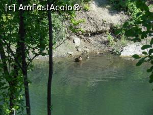 [P34] București - Parcul Sticlăriei. » foto by iulianic
 - 
<span class="allrVoted glyphicon glyphicon-heart hidden" id="av1362086"></span>
<a class="m-l-10 hidden" id="sv1362086" onclick="voting_Foto_DelVot(,1362086,11447)" role="button">șterge vot <span class="glyphicon glyphicon-remove"></span></a>
<a id="v91362086" class=" c-red"  onclick="voting_Foto_SetVot(1362086)" role="button"><span class="glyphicon glyphicon-heart-empty"></span> <b>LIKE</b> = Votează poza</a> <img class="hidden"  id="f1362086W9" src="/imagini/loader.gif" border="0" /><span class="AjErrMes hidden" id="e1362086ErM"></span>