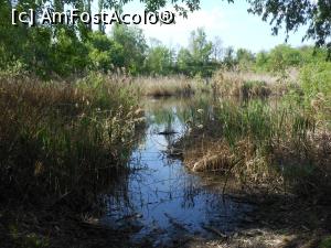 [P04] București - Parcul Sticlăriei. Peisaj lacustru. » foto by iulianic
 - 
<span class="allrVoted glyphicon glyphicon-heart hidden" id="av1362056"></span>
<a class="m-l-10 hidden" id="sv1362056" onclick="voting_Foto_DelVot(,1362056,11447)" role="button">șterge vot <span class="glyphicon glyphicon-remove"></span></a>
<a id="v91362056" class=" c-red"  onclick="voting_Foto_SetVot(1362056)" role="button"><span class="glyphicon glyphicon-heart-empty"></span> <b>LIKE</b> = Votează poza</a> <img class="hidden"  id="f1362056W9" src="/imagini/loader.gif" border="0" /><span class="AjErrMes hidden" id="e1362056ErM"></span>