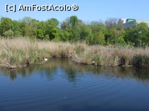 [P41] București - Parcul Sticlăriei. » foto by iulianic
 - 
<span class="allrVoted glyphicon glyphicon-heart hidden" id="av1362093"></span>
<a class="m-l-10 hidden" id="sv1362093" onclick="voting_Foto_DelVot(,1362093,11447)" role="button">șterge vot <span class="glyphicon glyphicon-remove"></span></a>
<a id="v91362093" class=" c-red"  onclick="voting_Foto_SetVot(1362093)" role="button"><span class="glyphicon glyphicon-heart-empty"></span> <b>LIKE</b> = Votează poza</a> <img class="hidden"  id="f1362093W9" src="/imagini/loader.gif" border="0" /><span class="AjErrMes hidden" id="e1362093ErM"></span>