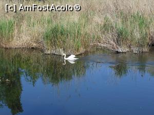 [P43] București - Parcul Sticlăriei. » foto by iulianic
 - 
<span class="allrVoted glyphicon glyphicon-heart hidden" id="av1362095"></span>
<a class="m-l-10 hidden" id="sv1362095" onclick="voting_Foto_DelVot(,1362095,11447)" role="button">șterge vot <span class="glyphicon glyphicon-remove"></span></a>
<a id="v91362095" class=" c-red"  onclick="voting_Foto_SetVot(1362095)" role="button"><span class="glyphicon glyphicon-heart-empty"></span> <b>LIKE</b> = Votează poza</a> <img class="hidden"  id="f1362095W9" src="/imagini/loader.gif" border="0" /><span class="AjErrMes hidden" id="e1362095ErM"></span>