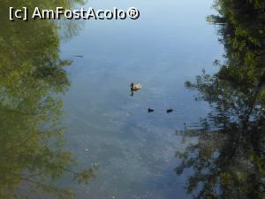 [P08] București - Parcul Sticlăriei. O familie fericită. » foto by iulianic
 - 
<span class="allrVoted glyphicon glyphicon-heart hidden" id="av1362060"></span>
<a class="m-l-10 hidden" id="sv1362060" onclick="voting_Foto_DelVot(,1362060,11447)" role="button">șterge vot <span class="glyphicon glyphicon-remove"></span></a>
<a id="v91362060" class=" c-red"  onclick="voting_Foto_SetVot(1362060)" role="button"><span class="glyphicon glyphicon-heart-empty"></span> <b>LIKE</b> = Votează poza</a> <img class="hidden"  id="f1362060W9" src="/imagini/loader.gif" border="0" /><span class="AjErrMes hidden" id="e1362060ErM"></span>