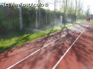 [P23] București - Parcul 'Tudor Arghezi'. Aspersoarele &icirc;n acțiune. » foto by iulianic
 - 
<span class="allrVoted glyphicon glyphicon-heart hidden" id="av1422797"></span>
<a class="m-l-10 hidden" id="sv1422797" onclick="voting_Foto_DelVot(,1422797,11447)" role="button">șterge vot <span class="glyphicon glyphicon-remove"></span></a>
<a id="v91422797" class=" c-red"  onclick="voting_Foto_SetVot(1422797)" role="button"><span class="glyphicon glyphicon-heart-empty"></span> <b>LIKE</b> = Votează poza</a> <img class="hidden"  id="f1422797W9" src="/imagini/loader.gif" border="0" /><span class="AjErrMes hidden" id="e1422797ErM"></span>