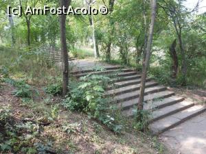 [P08] Parcul Tineretului - &Icirc;n cobor&acirc;re spre lac. » foto by iulianic
 - 
<span class="allrVoted glyphicon glyphicon-heart hidden" id="av1169965"></span>
<a class="m-l-10 hidden" id="sv1169965" onclick="voting_Foto_DelVot(,1169965,11447)" role="button">șterge vot <span class="glyphicon glyphicon-remove"></span></a>
<a id="v91169965" class=" c-red"  onclick="voting_Foto_SetVot(1169965)" role="button"><span class="glyphicon glyphicon-heart-empty"></span> <b>LIKE</b> = Votează poza</a> <img class="hidden"  id="f1169965W9" src="/imagini/loader.gif" border="0" /><span class="AjErrMes hidden" id="e1169965ErM"></span>