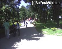 [P01] Parcul Kiseleff - plin de viaţă! » foto by Dragoș_MD
 - 
<span class="allrVoted glyphicon glyphicon-heart hidden" id="av75465"></span>
<a class="m-l-10 hidden" id="sv75465" onclick="voting_Foto_DelVot(,75465,11447)" role="button">șterge vot <span class="glyphicon glyphicon-remove"></span></a>
<a id="v975465" class=" c-red"  onclick="voting_Foto_SetVot(75465)" role="button"><span class="glyphicon glyphicon-heart-empty"></span> <b>LIKE</b> = Votează poza</a> <img class="hidden"  id="f75465W9" src="/imagini/loader.gif" border="0" /><span class="AjErrMes hidden" id="e75465ErM"></span>