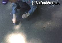 [P11] Parcul Kiseleff - micul Picasso (sau Gauguin?) » foto by Dragoș_MD
 - 
<span class="allrVoted glyphicon glyphicon-heart hidden" id="av75475"></span>
<a class="m-l-10 hidden" id="sv75475" onclick="voting_Foto_DelVot(,75475,11447)" role="button">șterge vot <span class="glyphicon glyphicon-remove"></span></a>
<a id="v975475" class=" c-red"  onclick="voting_Foto_SetVot(75475)" role="button"><span class="glyphicon glyphicon-heart-empty"></span> <b>LIKE</b> = Votează poza</a> <img class="hidden"  id="f75475W9" src="/imagini/loader.gif" border="0" /><span class="AjErrMes hidden" id="e75475ErM"></span>