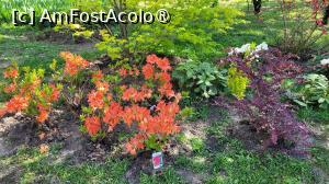 [P17] Grădina japoneză din Herastrău » foto by vlado2
 - 
<span class="allrVoted glyphicon glyphicon-heart hidden" id="av1525560"></span>
<a class="m-l-10 hidden" id="sv1525560" onclick="voting_Foto_DelVot(,1525560,11447)" role="button">șterge vot <span class="glyphicon glyphicon-remove"></span></a>
<a id="v91525560" class=" c-red"  onclick="voting_Foto_SetVot(1525560)" role="button"><span class="glyphicon glyphicon-heart-empty"></span> <b>LIKE</b> = Votează poza</a> <img class="hidden"  id="f1525560W9" src="/imagini/loader.gif" border="0" /><span class="AjErrMes hidden" id="e1525560ErM"></span>