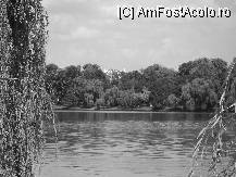 [P03]  -- <small>// FĂRĂ DESCRIERE</small> » foto by laurentiucapac
 - 
<span class="allrVoted glyphicon glyphicon-heart hidden" id="av106830"></span>
<a class="m-l-10 hidden" id="sv106830" onclick="voting_Foto_DelVot(,106830,11447)" role="button">șterge vot <span class="glyphicon glyphicon-remove"></span></a>
<a id="v9106830" class=" c-red"  onclick="voting_Foto_SetVot(106830)" role="button"><span class="glyphicon glyphicon-heart-empty"></span> <b>LIKE</b> = Votează poza</a> <img class="hidden"  id="f106830W9" src="/imagini/loader.gif" border="0" /><span class="AjErrMes hidden" id="e106830ErM"></span>