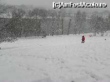 [P17]  -- <small>// FĂRĂ DESCRIERE</small> » foto by laurentiucapac
 - 
<span class="allrVoted glyphicon glyphicon-heart hidden" id="av174079"></span>
<a class="m-l-10 hidden" id="sv174079" onclick="voting_Foto_DelVot(,174079,11447)" role="button">șterge vot <span class="glyphicon glyphicon-remove"></span></a>
<a id="v9174079" class=" c-red"  onclick="voting_Foto_SetVot(174079)" role="button"><span class="glyphicon glyphicon-heart-empty"></span> <b>LIKE</b> = Votează poza</a> <img class="hidden"  id="f174079W9" src="/imagini/loader.gif" border="0" /><span class="AjErrMes hidden" id="e174079ErM"></span>