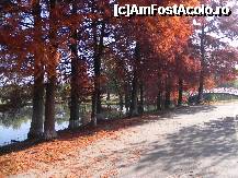 [P19]  -- <small>// FĂRĂ DESCRIERE</small> » foto by laurentiucapac
 - 
<span class="allrVoted glyphicon glyphicon-heart hidden" id="av174081"></span>
<a class="m-l-10 hidden" id="sv174081" onclick="voting_Foto_DelVot(,174081,11447)" role="button">șterge vot <span class="glyphicon glyphicon-remove"></span></a>
<a id="v9174081" class=" c-red"  onclick="voting_Foto_SetVot(174081)" role="button"><span class="glyphicon glyphicon-heart-empty"></span> <b>LIKE</b> = Votează poza</a> <img class="hidden"  id="f174081W9" src="/imagini/loader.gif" border="0" /><span class="AjErrMes hidden" id="e174081ErM"></span>