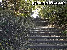 [P02]  -- <small>// FĂRĂ DESCRIERE</small> » foto by laurentiucapac
 - 
<span class="allrVoted glyphicon glyphicon-heart hidden" id="av174064"></span>
<a class="m-l-10 hidden" id="sv174064" onclick="voting_Foto_DelVot(,174064,11447)" role="button">șterge vot <span class="glyphicon glyphicon-remove"></span></a>
<a id="v9174064" class=" c-red"  onclick="voting_Foto_SetVot(174064)" role="button"><span class="glyphicon glyphicon-heart-empty"></span> <b>LIKE</b> = Votează poza</a> <img class="hidden"  id="f174064W9" src="/imagini/loader.gif" border="0" /><span class="AjErrMes hidden" id="e174064ErM"></span>