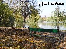 [P25] Toamna » foto by laurentiucapac
 - 
<span class="allrVoted glyphicon glyphicon-heart hidden" id="av174138"></span>
<a class="m-l-10 hidden" id="sv174138" onclick="voting_Foto_DelVot(,174138,11447)" role="button">șterge vot <span class="glyphicon glyphicon-remove"></span></a>
<a id="v9174138" class=" c-red"  onclick="voting_Foto_SetVot(174138)" role="button"><span class="glyphicon glyphicon-heart-empty"></span> <b>LIKE</b> = Votează poza</a> <img class="hidden"  id="f174138W9" src="/imagini/loader.gif" border="0" /><span class="AjErrMes hidden" id="e174138ErM"></span>