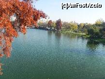 [P27]  -- <small>// FĂRĂ DESCRIERE</small> » foto by laurentiucapac
 - 
<span class="allrVoted glyphicon glyphicon-heart hidden" id="av174140"></span>
<a class="m-l-10 hidden" id="sv174140" onclick="voting_Foto_DelVot(,174140,11447)" role="button">șterge vot <span class="glyphicon glyphicon-remove"></span></a>
<a id="v9174140" class=" c-red"  onclick="voting_Foto_SetVot(174140)" role="button"><span class="glyphicon glyphicon-heart-empty"></span> <b>LIKE</b> = Votează poza</a> <img class="hidden"  id="f174140W9" src="/imagini/loader.gif" border="0" /><span class="AjErrMes hidden" id="e174140ErM"></span>