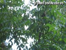 [P01] veverita jucausa in dreapta. » foto by balasa violeta
 - 
<span class="allrVoted glyphicon glyphicon-heart hidden" id="av138594"></span>
<a class="m-l-10 hidden" id="sv138594" onclick="voting_Foto_DelVot(,138594,11447)" role="button">șterge vot <span class="glyphicon glyphicon-remove"></span></a>
<a id="v9138594" class=" c-red"  onclick="voting_Foto_SetVot(138594)" role="button"><span class="glyphicon glyphicon-heart-empty"></span> <b>LIKE</b> = Votează poza</a> <img class="hidden"  id="f138594W9" src="/imagini/loader.gif" border="0" /><span class="AjErrMes hidden" id="e138594ErM"></span>