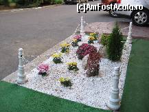 [P10] Aranjamentul floral de la intrare. » foto by balasa violeta
 - 
<span class="allrVoted glyphicon glyphicon-heart hidden" id="av138603"></span>
<a class="m-l-10 hidden" id="sv138603" onclick="voting_Foto_DelVot(,138603,11447)" role="button">șterge vot <span class="glyphicon glyphicon-remove"></span></a>
<a id="v9138603" class=" c-red"  onclick="voting_Foto_SetVot(138603)" role="button"><span class="glyphicon glyphicon-heart-empty"></span> <b>LIKE</b> = Votează poza</a> <img class="hidden"  id="f138603W9" src="/imagini/loader.gif" border="0" /><span class="AjErrMes hidden" id="e138603ErM"></span>