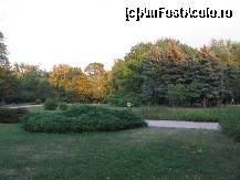 [P14] Toamna... » foto by balasa violeta
 - 
<span class="allrVoted glyphicon glyphicon-heart hidden" id="av138607"></span>
<a class="m-l-10 hidden" id="sv138607" onclick="voting_Foto_DelVot(,138607,11447)" role="button">șterge vot <span class="glyphicon glyphicon-remove"></span></a>
<a id="v9138607" class=" c-red"  onclick="voting_Foto_SetVot(138607)" role="button"><span class="glyphicon glyphicon-heart-empty"></span> <b>LIKE</b> = Votează poza</a> <img class="hidden"  id="f138607W9" src="/imagini/loader.gif" border="0" /><span class="AjErrMes hidden" id="e138607ErM"></span>