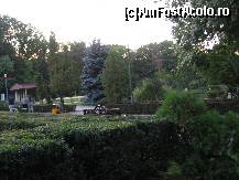 [P17] Mai multe nuante de verde. » foto by balasa violeta
 - 
<span class="allrVoted glyphicon glyphicon-heart hidden" id="av138610"></span>
<a class="m-l-10 hidden" id="sv138610" onclick="voting_Foto_DelVot(,138610,11447)" role="button">șterge vot <span class="glyphicon glyphicon-remove"></span></a>
<a id="v9138610" class=" c-red"  onclick="voting_Foto_SetVot(138610)" role="button"><span class="glyphicon glyphicon-heart-empty"></span> <b>LIKE</b> = Votează poza</a> <img class="hidden"  id="f138610W9" src="/imagini/loader.gif" border="0" /><span class="AjErrMes hidden" id="e138610ErM"></span>