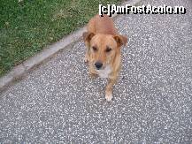 [P22] Pazeste parcul,doar este comunitar. » foto by balasa violeta
 - 
<span class="allrVoted glyphicon glyphicon-heart hidden" id="av138615"></span>
<a class="m-l-10 hidden" id="sv138615" onclick="voting_Foto_DelVot(,138615,11447)" role="button">șterge vot <span class="glyphicon glyphicon-remove"></span></a>
<a id="v9138615" class=" c-red"  onclick="voting_Foto_SetVot(138615)" role="button"><span class="glyphicon glyphicon-heart-empty"></span> <b>LIKE</b> = Votează poza</a> <img class="hidden"  id="f138615W9" src="/imagini/loader.gif" border="0" /><span class="AjErrMes hidden" id="e138615ErM"></span>