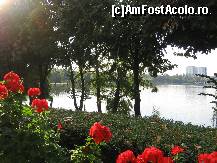 [P06] Un pic de ruginiu... » foto by balasa violeta
 - 
<span class="allrVoted glyphicon glyphicon-heart hidden" id="av138599"></span>
<a class="m-l-10 hidden" id="sv138599" onclick="voting_Foto_DelVot(,138599,11447)" role="button">șterge vot <span class="glyphicon glyphicon-remove"></span></a>
<a id="v9138599" class=" c-red"  onclick="voting_Foto_SetVot(138599)" role="button"><span class="glyphicon glyphicon-heart-empty"></span> <b>LIKE</b> = Votează poza</a> <img class="hidden"  id="f138599W9" src="/imagini/loader.gif" border="0" /><span class="AjErrMes hidden" id="e138599ErM"></span>