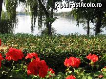 [P07] O ratusca in dreapta copacului . » foto by balasa violeta
 - 
<span class="allrVoted glyphicon glyphicon-heart hidden" id="av138600"></span>
<a class="m-l-10 hidden" id="sv138600" onclick="voting_Foto_DelVot(,138600,11447)" role="button">șterge vot <span class="glyphicon glyphicon-remove"></span></a>
<a id="v9138600" class=" c-red"  onclick="voting_Foto_SetVot(138600)" role="button"><span class="glyphicon glyphicon-heart-empty"></span> <b>LIKE</b> = Votează poza</a> <img class="hidden"  id="f138600W9" src="/imagini/loader.gif" border="0" /><span class="AjErrMes hidden" id="e138600ErM"></span>