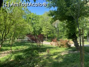 [P12] Parcul Sticlariei - natura in toata splendoarea ei » foto by mishu
 - 
<span class="allrVoted glyphicon glyphicon-heart hidden" id="av1362001"></span>
<a class="m-l-10 hidden" id="sv1362001" onclick="voting_Foto_DelVot(,1362001,11447)" role="button">șterge vot <span class="glyphicon glyphicon-remove"></span></a>
<a id="v91362001" class=" c-red"  onclick="voting_Foto_SetVot(1362001)" role="button"><span class="glyphicon glyphicon-heart-empty"></span> <b>LIKE</b> = Votează poza</a> <img class="hidden"  id="f1362001W9" src="/imagini/loader.gif" border="0" /><span class="AjErrMes hidden" id="e1362001ErM"></span>