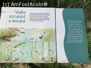 [P13] Parcul Sticlariei - si alte informatii » foto by mishu
 - 
<span class="allrVoted glyphicon glyphicon-heart hidden" id="av1362002"></span>
<a class="m-l-10 hidden" id="sv1362002" onclick="voting_Foto_DelVot(,1362002,11447)" role="button">șterge vot <span class="glyphicon glyphicon-remove"></span></a>
<a id="v91362002" class=" c-red"  onclick="voting_Foto_SetVot(1362002)" role="button"><span class="glyphicon glyphicon-heart-empty"></span> <b>LIKE</b> = Votează poza</a> <img class="hidden"  id="f1362002W9" src="/imagini/loader.gif" border="0" /><span class="AjErrMes hidden" id="e1362002ErM"></span>