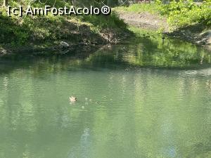 [P14] Parcul Sticlariei - familie la plimbare » foto by mishu
 - 
<span class="allrVoted glyphicon glyphicon-heart hidden" id="av1362003"></span>
<a class="m-l-10 hidden" id="sv1362003" onclick="voting_Foto_DelVot(,1362003,11447)" role="button">șterge vot <span class="glyphicon glyphicon-remove"></span></a>
<a id="v91362003" class=" c-red"  onclick="voting_Foto_SetVot(1362003)" role="button"><span class="glyphicon glyphicon-heart-empty"></span> <b>LIKE</b> = Votează poza</a> <img class="hidden"  id="f1362003W9" src="/imagini/loader.gif" border="0" /><span class="AjErrMes hidden" id="e1362003ErM"></span>