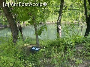 [P16] Parcul Sticlariei - si capcane pentru rozatoare » foto by mishu
 - 
<span class="allrVoted glyphicon glyphicon-heart hidden" id="av1362005"></span>
<a class="m-l-10 hidden" id="sv1362005" onclick="voting_Foto_DelVot(,1362005,11447)" role="button">șterge vot <span class="glyphicon glyphicon-remove"></span></a>
<a id="v91362005" class=" c-red"  onclick="voting_Foto_SetVot(1362005)" role="button"><span class="glyphicon glyphicon-heart-empty"></span> <b>LIKE</b> = Votează poza</a> <img class="hidden"  id="f1362005W9" src="/imagini/loader.gif" border="0" /><span class="AjErrMes hidden" id="e1362005ErM"></span>