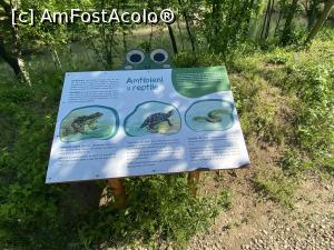 [P17] Parcul Sticlariei - si alte informatii » foto by mishu
 - 
<span class="allrVoted glyphicon glyphicon-heart hidden" id="av1362006"></span>
<a class="m-l-10 hidden" id="sv1362006" onclick="voting_Foto_DelVot(,1362006,11447)" role="button">șterge vot <span class="glyphicon glyphicon-remove"></span></a>
<a id="v91362006" class=" c-red"  onclick="voting_Foto_SetVot(1362006)" role="button"><span class="glyphicon glyphicon-heart-empty"></span> <b>LIKE</b> = Votează poza</a> <img class="hidden"  id="f1362006W9" src="/imagini/loader.gif" border="0" /><span class="AjErrMes hidden" id="e1362006ErM"></span>