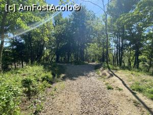 [P18] Parcul Sticlariei - natura in toata splendoarea ei » foto by mishu
 - 
<span class="allrVoted glyphicon glyphicon-heart hidden" id="av1362007"></span>
<a class="m-l-10 hidden" id="sv1362007" onclick="voting_Foto_DelVot(,1362007,11447)" role="button">șterge vot <span class="glyphicon glyphicon-remove"></span></a>
<a id="v91362007" class=" c-red"  onclick="voting_Foto_SetVot(1362007)" role="button"><span class="glyphicon glyphicon-heart-empty"></span> <b>LIKE</b> = Votează poza</a> <img class="hidden"  id="f1362007W9" src="/imagini/loader.gif" border="0" /><span class="AjErrMes hidden" id="e1362007ErM"></span>