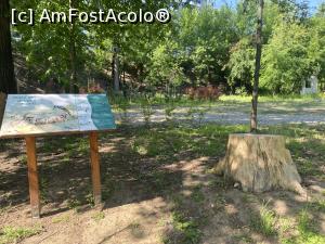 [P24] Parcul Sticlariei - natura in toata splendoarea ei si cu explicatii adecvate » foto by mishu
 - 
<span class="allrVoted glyphicon glyphicon-heart hidden" id="av1362013"></span>
<a class="m-l-10 hidden" id="sv1362013" onclick="voting_Foto_DelVot(,1362013,11447)" role="button">șterge vot <span class="glyphicon glyphicon-remove"></span></a>
<a id="v91362013" class=" c-red"  onclick="voting_Foto_SetVot(1362013)" role="button"><span class="glyphicon glyphicon-heart-empty"></span> <b>LIKE</b> = Votează poza</a> <img class="hidden"  id="f1362013W9" src="/imagini/loader.gif" border="0" /><span class="AjErrMes hidden" id="e1362013ErM"></span>