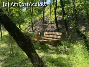 [P26] Parcul Sticlariei - natura in toata splendoarea ei » foto by mishu
 - 
<span class="allrVoted glyphicon glyphicon-heart hidden" id="av1362015"></span>
<a class="m-l-10 hidden" id="sv1362015" onclick="voting_Foto_DelVot(,1362015,11447)" role="button">șterge vot <span class="glyphicon glyphicon-remove"></span></a>
<a id="v91362015" class=" c-red"  onclick="voting_Foto_SetVot(1362015)" role="button"><span class="glyphicon glyphicon-heart-empty"></span> <b>LIKE</b> = Votează poza</a> <img class="hidden"  id="f1362015W9" src="/imagini/loader.gif" border="0" /><span class="AjErrMes hidden" id="e1362015ErM"></span>