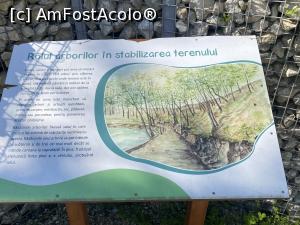 [P30] Parcul Sticlariei - explicatii » foto by mishu
 - 
<span class="allrVoted glyphicon glyphicon-heart hidden" id="av1362019"></span>
<a class="m-l-10 hidden" id="sv1362019" onclick="voting_Foto_DelVot(,1362019,11447)" role="button">șterge vot <span class="glyphicon glyphicon-remove"></span></a>
<a id="v91362019" class=" c-red"  onclick="voting_Foto_SetVot(1362019)" role="button"><span class="glyphicon glyphicon-heart-empty"></span> <b>LIKE</b> = Votează poza</a> <img class="hidden"  id="f1362019W9" src="/imagini/loader.gif" border="0" /><span class="AjErrMes hidden" id="e1362019ErM"></span>