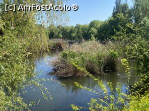 [P31] Parcul Sticlariei - natura in toata splendoarea ei » foto by mishu
 - 
<span class="allrVoted glyphicon glyphicon-heart hidden" id="av1362020"></span>
<a class="m-l-10 hidden" id="sv1362020" onclick="voting_Foto_DelVot(,1362020,11447)" role="button">șterge vot <span class="glyphicon glyphicon-remove"></span></a>
<a id="v91362020" class=" c-red"  onclick="voting_Foto_SetVot(1362020)" role="button"><span class="glyphicon glyphicon-heart-empty"></span> <b>LIKE</b> = Votează poza</a> <img class="hidden"  id="f1362020W9" src="/imagini/loader.gif" border="0" /><span class="AjErrMes hidden" id="e1362020ErM"></span>