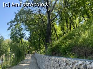 [P34] Parcul Sticlariei - natura in toata splendoarea ei » foto by mishu
 - 
<span class="allrVoted glyphicon glyphicon-heart hidden" id="av1362023"></span>
<a class="m-l-10 hidden" id="sv1362023" onclick="voting_Foto_DelVot(,1362023,11447)" role="button">șterge vot <span class="glyphicon glyphicon-remove"></span></a>
<a id="v91362023" class=" c-red"  onclick="voting_Foto_SetVot(1362023)" role="button"><span class="glyphicon glyphicon-heart-empty"></span> <b>LIKE</b> = Votează poza</a> <img class="hidden"  id="f1362023W9" src="/imagini/loader.gif" border="0" /><span class="AjErrMes hidden" id="e1362023ErM"></span>