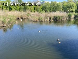 [P40] Parcul Sticlariei - natura in toata splendoarea ei » foto by mishu
 - 
<span class="allrVoted glyphicon glyphicon-heart hidden" id="av1362029"></span>
<a class="m-l-10 hidden" id="sv1362029" onclick="voting_Foto_DelVot(,1362029,11447)" role="button">șterge vot <span class="glyphicon glyphicon-remove"></span></a>
<a id="v91362029" class=" c-red"  onclick="voting_Foto_SetVot(1362029)" role="button"><span class="glyphicon glyphicon-heart-empty"></span> <b>LIKE</b> = Votează poza</a> <img class="hidden"  id="f1362029W9" src="/imagini/loader.gif" border="0" /><span class="AjErrMes hidden" id="e1362029ErM"></span>