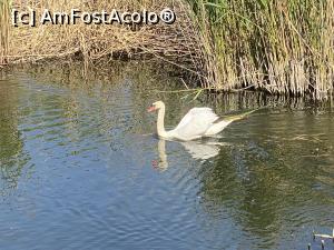 [P41] Parcul Sticlariei - povesti de viata » foto by mishu
 - 
<span class="allrVoted glyphicon glyphicon-heart hidden" id="av1362030"></span>
<a class="m-l-10 hidden" id="sv1362030" onclick="voting_Foto_DelVot(,1362030,11447)" role="button">șterge vot <span class="glyphicon glyphicon-remove"></span></a>
<a id="v91362030" class=" c-red"  onclick="voting_Foto_SetVot(1362030)" role="button"><span class="glyphicon glyphicon-heart-empty"></span> <b>LIKE</b> = Votează poza</a> <img class="hidden"  id="f1362030W9" src="/imagini/loader.gif" border="0" /><span class="AjErrMes hidden" id="e1362030ErM"></span>