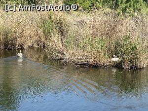 [P43] Parcul Sticlariei - familia :) » foto by mishu
 - 
<span class="allrVoted glyphicon glyphicon-heart hidden" id="av1362032"></span>
<a class="m-l-10 hidden" id="sv1362032" onclick="voting_Foto_DelVot(,1362032,11447)" role="button">șterge vot <span class="glyphicon glyphicon-remove"></span></a>
<a id="v91362032" class=" c-red"  onclick="voting_Foto_SetVot(1362032)" role="button"><span class="glyphicon glyphicon-heart-empty"></span> <b>LIKE</b> = Votează poza</a> <img class="hidden"  id="f1362032W9" src="/imagini/loader.gif" border="0" /><span class="AjErrMes hidden" id="e1362032ErM"></span>