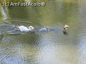 [P45] Parcul Sticlariei - cursa » foto by mishu
 - 
<span class="allrVoted glyphicon glyphicon-heart hidden" id="av1362034"></span>
<a class="m-l-10 hidden" id="sv1362034" onclick="voting_Foto_DelVot(,1362034,11447)" role="button">șterge vot <span class="glyphicon glyphicon-remove"></span></a>
<a id="v91362034" class=" c-red"  onclick="voting_Foto_SetVot(1362034)" role="button"><span class="glyphicon glyphicon-heart-empty"></span> <b>LIKE</b> = Votează poza</a> <img class="hidden"  id="f1362034W9" src="/imagini/loader.gif" border="0" /><span class="AjErrMes hidden" id="e1362034ErM"></span>