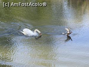 [P46] Parcul Sticlariei - cursa » foto by mishu
 - 
<span class="allrVoted glyphicon glyphicon-heart hidden" id="av1362035"></span>
<a class="m-l-10 hidden" id="sv1362035" onclick="voting_Foto_DelVot(,1362035,11447)" role="button">șterge vot <span class="glyphicon glyphicon-remove"></span></a>
<a id="v91362035" class=" c-red"  onclick="voting_Foto_SetVot(1362035)" role="button"><span class="glyphicon glyphicon-heart-empty"></span> <b>LIKE</b> = Votează poza</a> <img class="hidden"  id="f1362035W9" src="/imagini/loader.gif" border="0" /><span class="AjErrMes hidden" id="e1362035ErM"></span>