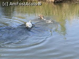 [P47] Parcul Sticlariei - cursa » foto by mishu
 - 
<span class="allrVoted glyphicon glyphicon-heart hidden" id="av1362036"></span>
<a class="m-l-10 hidden" id="sv1362036" onclick="voting_Foto_DelVot(,1362036,11447)" role="button">șterge vot <span class="glyphicon glyphicon-remove"></span></a>
<a id="v91362036" class=" c-red"  onclick="voting_Foto_SetVot(1362036)" role="button"><span class="glyphicon glyphicon-heart-empty"></span> <b>LIKE</b> = Votează poza</a> <img class="hidden"  id="f1362036W9" src="/imagini/loader.gif" border="0" /><span class="AjErrMes hidden" id="e1362036ErM"></span>